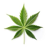 marijuana blad stänga - upp. isolerat på vit. grafisk design element för webb, grafik, t-shirts. ai-genererad foto