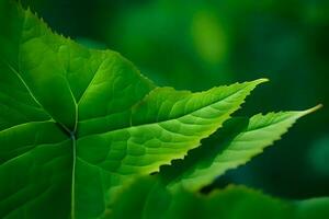 en stänga upp av en grön blad. ai-genererad foto