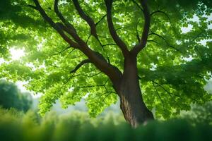 en träd är visad i de solljus med grön löv. ai-genererad foto