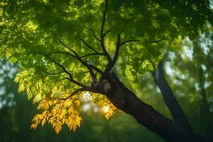 de Sol lyser genom de löv av en träd. ai-genererad foto