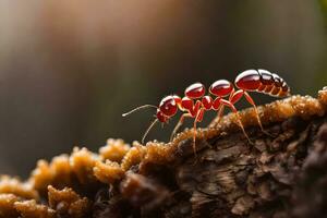 ett myra är stående på en bit av trä. ai-genererad foto