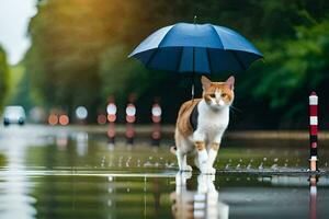 en katt gående i de regn med ett paraply. ai-genererad foto