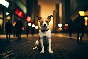 en hund Sammanträde på de gata på natt. ai-genererad foto