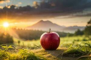 en röd äpple i de fält på solnedgång. ai-genererad foto