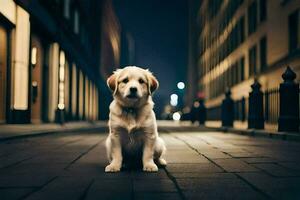 en hund Sammanträde på de gata på natt. ai-genererad foto