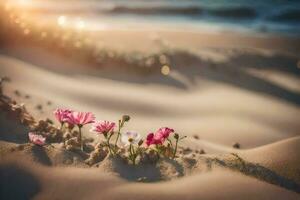 Foto tapet sand, blommor, de strand, de Sol, de hav, de sand, de. ai-genererad