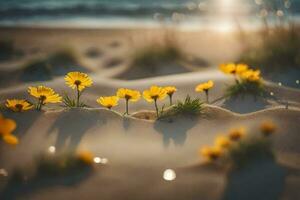 Foto tapet de strand, sand, blommor, Sol, de hav, de hav, de hav. ai-genererad