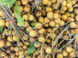 longan, färsk longanfrukt, dimocarpus longan, frukt från Asien foto