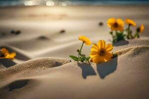 gul blommor växande ut av de sand på en strand. ai-genererad foto