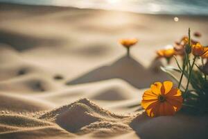 Foto tapet sand, blommor, de strand, de Sol, de hav, de sand, blommor. ai-genererad