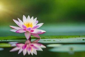 en enda rosa lotus blomma i de vatten med de Sol lysande. ai-genererad foto