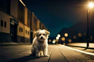 en små hund är stående på en gata på natt. ai-genererad foto