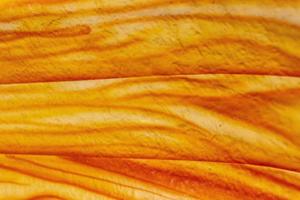 textur av trä med en orange ton
