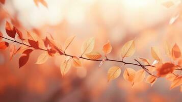 mjuk fokus höst löv i värma nyanser foto