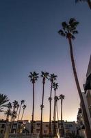 tidigt på morgonen med soluppgång på hotell och palmer foto