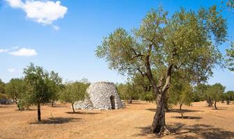 Puglia-regionen, Italien. traditionellt lager av sten foto