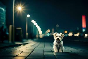 en små vit hund stående på en gata på natt. ai-genererad foto