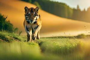 en tiger löpning tvärs över en fält på solnedgång. ai-genererad foto