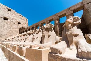 antika statyer av många får i karnak-templet i luxur foto