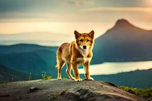 en hund stående på en sten i främre av en berg. ai-genererad foto