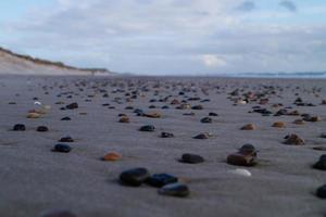 vid stranden av blavand ho danmark foto