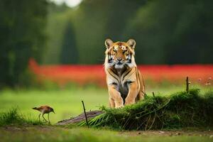 en tiger gående tvärs över en gräs- fält. ai-genererad foto