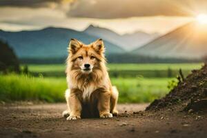 en hund Sammanträde på de väg i främre av en berg. ai-genererad foto