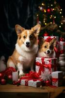 förtjusande husdjur i festlig klädespersedlar med jul presenterar foto