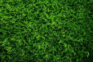 grönskande grön gräs från ovan, en lugnande och naturlig syn ai genererad foto