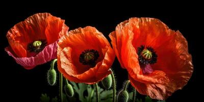 vallmo dag. minne av Allt de soldater vem dog i krig involverar bra Storbritannien. generativ ai foto