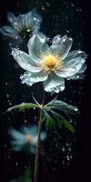 skön adonis blomma med regndroppar. Foto för affisch eller tapet. generativ ai