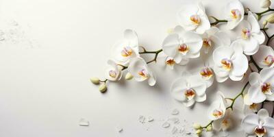 blommor på en vit orkide gren på vit bakgrund, Plats för text eller produkt. generativ ai foto