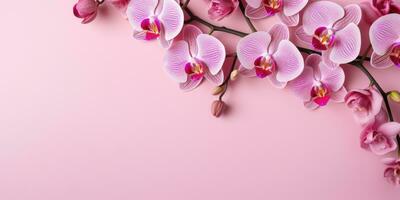 orkidéer på en rosa bakgrund, topp se, Plats för text. generativ ai foto