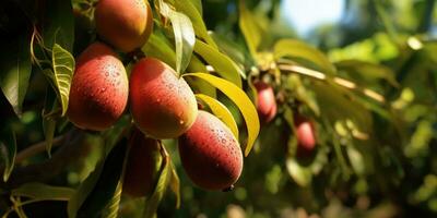 närbild av mango hängande mango odla, jordbruks industri begrepp. generativ ai foto