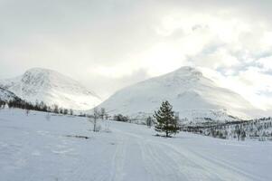 vinter- landskap bergen med snö foto