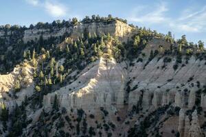 de skön bryce kanjon nationell parkera foto