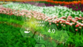 smart odla, lantbruk begrepp med infographics smart jordbruk och precision lantbruk 4.0 med visuell ikon, digital teknologi lantbruk och smart jordbruk begrepp. foto