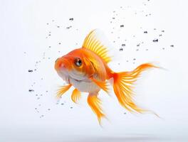 stänga upp Foto av en guldfisk med kopia Plats, gyllene skönhet ai genererad