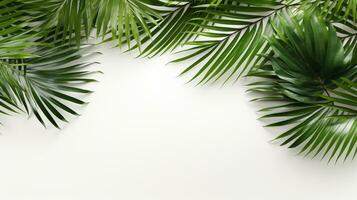 tropisk ram med grön handflatan löv design på bakgrund, kopia Plats, sommar bakgrund, ai generativ foto
