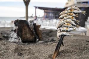 spettar av sardiner prickade över grillad jord på den spanska kusten foto