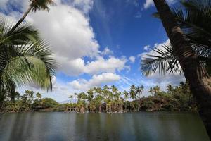 fiskdamm i kalahuipuaa historisk park på den stora ön hawaii foto