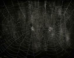 Spindel webb på grunge svart bakgrund, halloween begrepp. ai genererad. foto