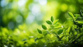stänga upp av natur se grön blad på suddig grönska bakgrund. ai genererad. foto