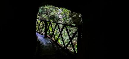 los tilos skog på de ö av la palma, en plats av obeskrivlig skönhet foto