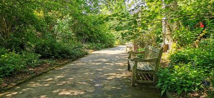 detalj av de birmingham botanisk trädgårdar foto