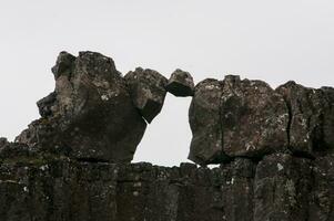 detalj av islands frodig naturlig landskap foto