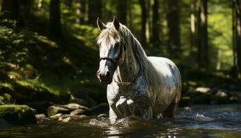 en skön hingst betar i en lugn äng, visa upp natur skönhet genererad förbi ai foto