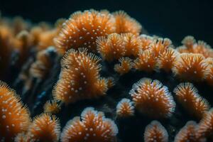 korall polyper är mycket liten varelser den där göra hem under vattnet. de skapa under vattnet stadsdelar med deras åtgärder. här är en enkel förklaring av på vilket sätt de do Det.. kreativ resurs, ai genererad foto