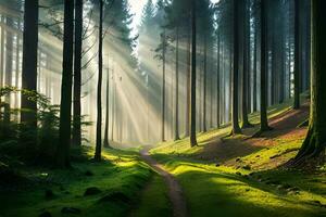 en lugna morgon- ser av en dimmig timberland med barer av solsken som förs in i genom de träd. ai genererad foto