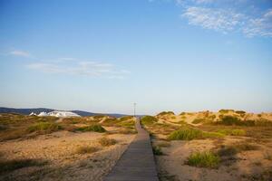 skön trä- väg till de strand till de hav foto